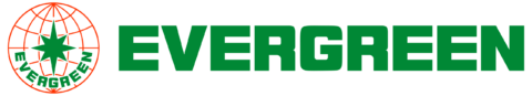 Logo Animation Evergreen