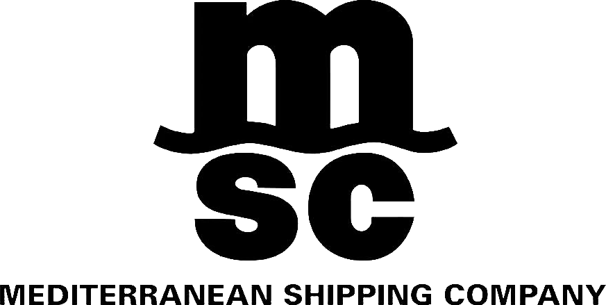 Logo Animation Msc